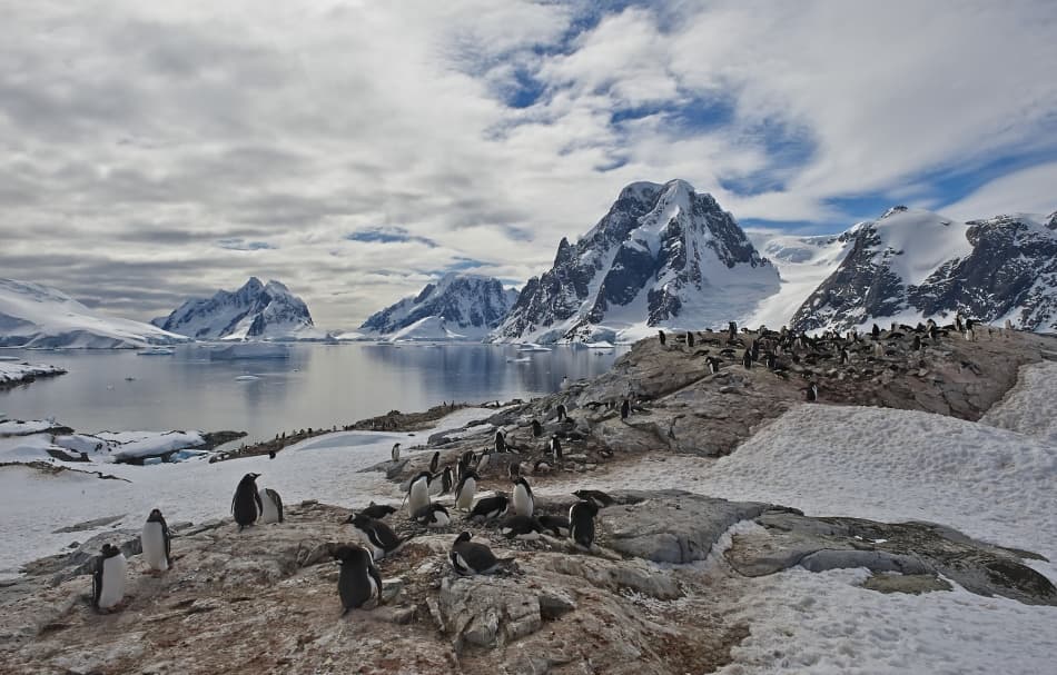 Penguins and Snowy Mountains by Sergey Kokinskiy — canvas wall art