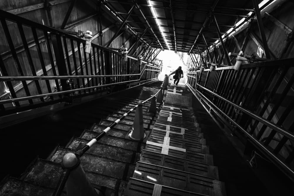 Ascending Towards Light by Haruyo Sakamoto — canvas wall art
