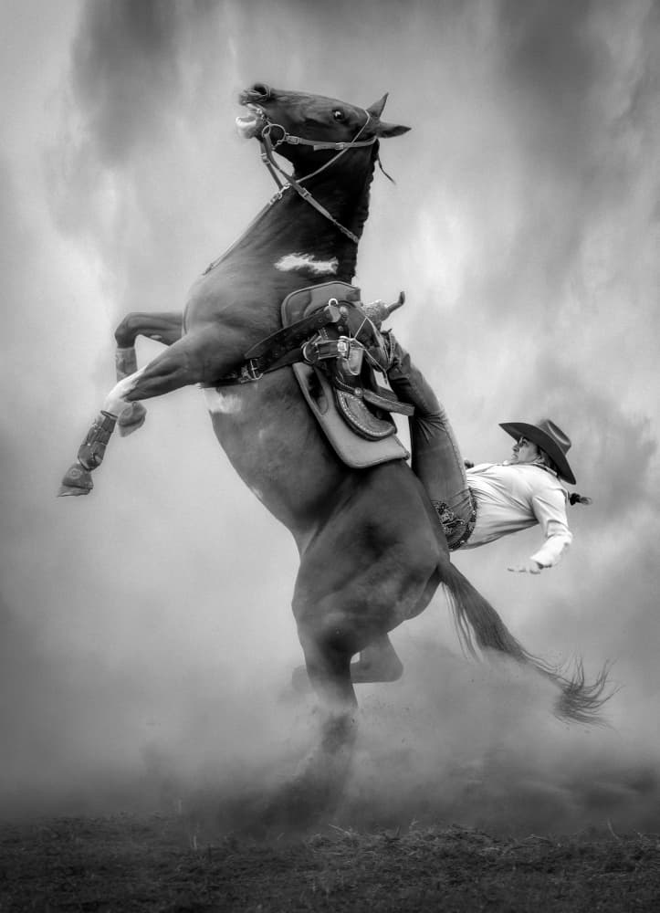 Falling Rodeo Rider by Frank Ma — canvas wall art