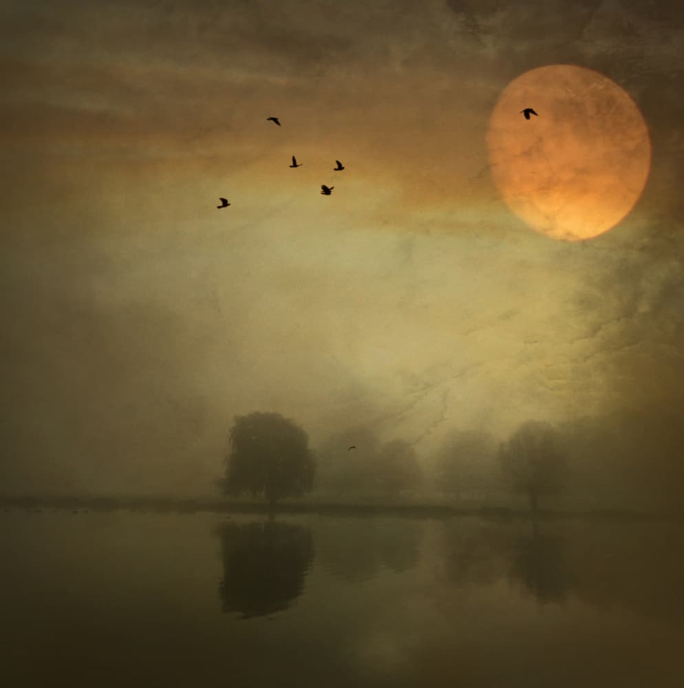 Misty Golden Lake by Robert Fabrowski — canvas wall art