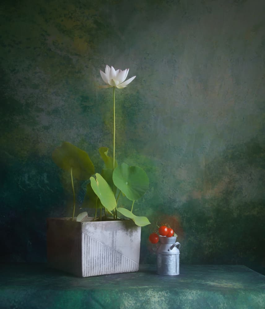 Serene White Lotus Still Life by Fangping Zhou — canvas wall art