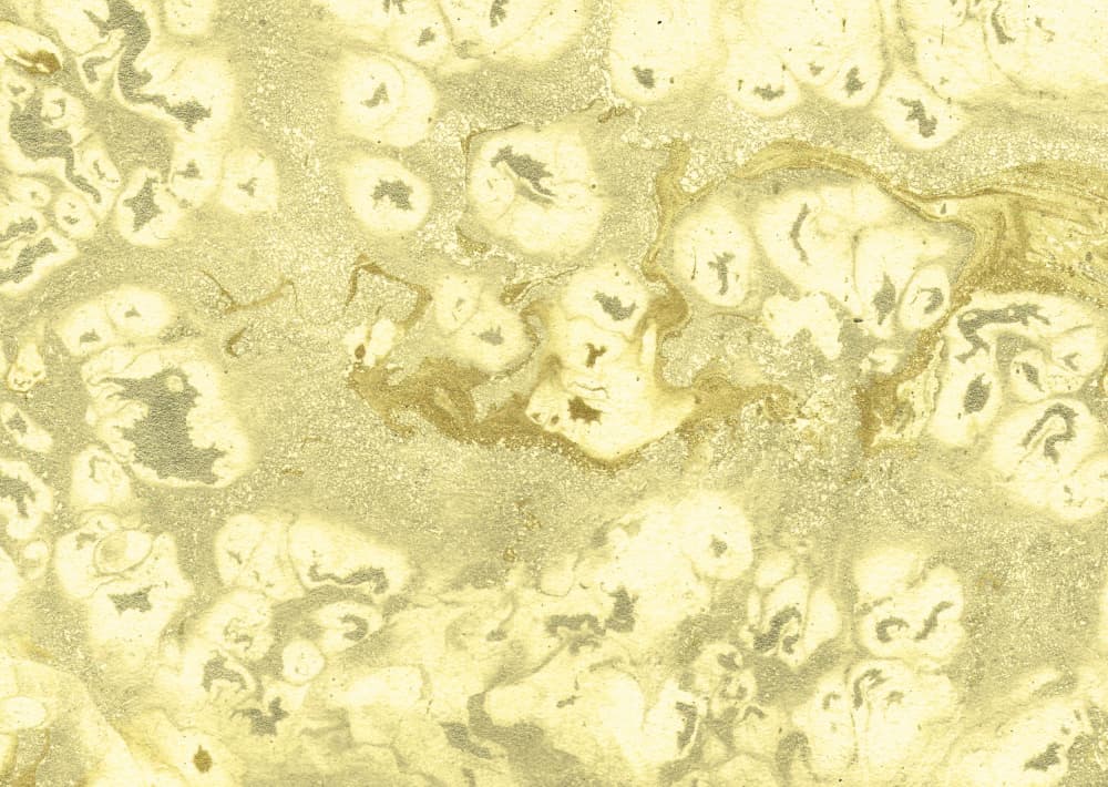 Golden Fluid Abstract by Santhosh ch — canvas wall art