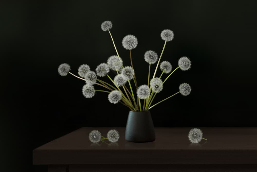 Quiet Dandelion Arrangement by Juan Antonio Palacios — canvas wall art