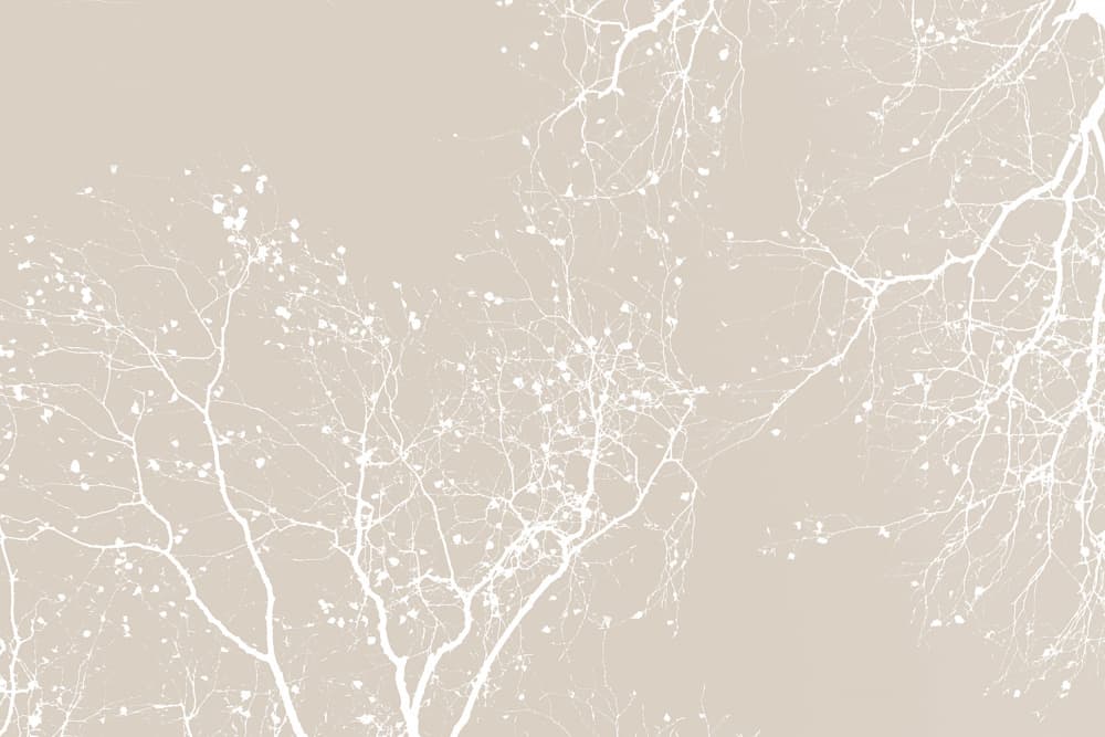 Branches New Natural