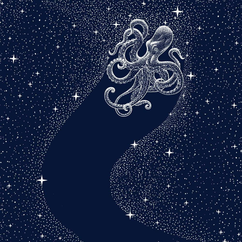 Cosmic Octopus Soaring by Alirıza ÇAKIR — canvas wall art