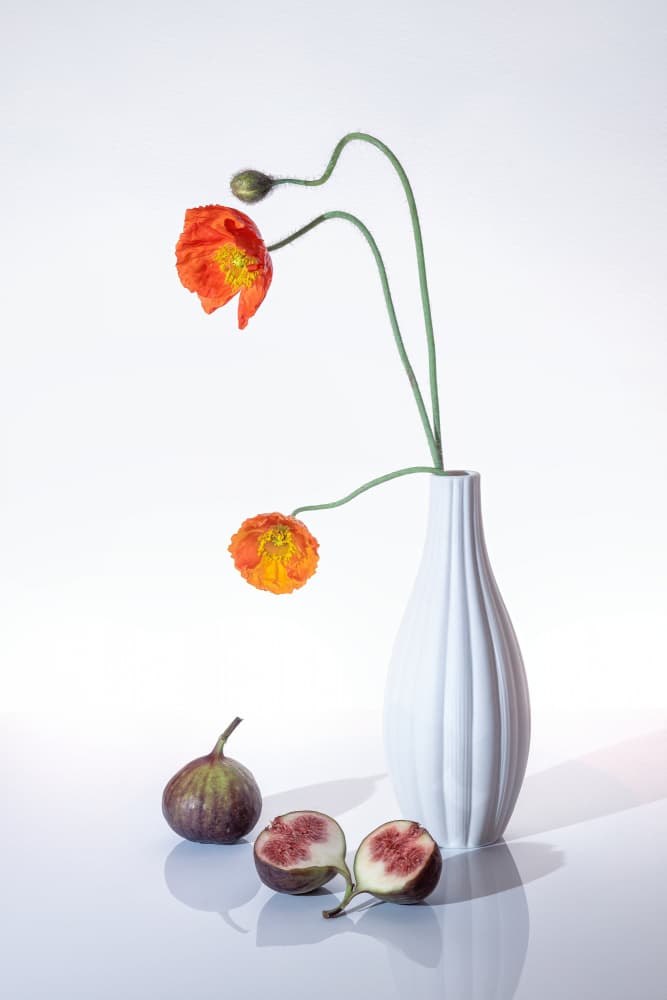 Orange Poppies and Figs by GaoSL — canvas wall art