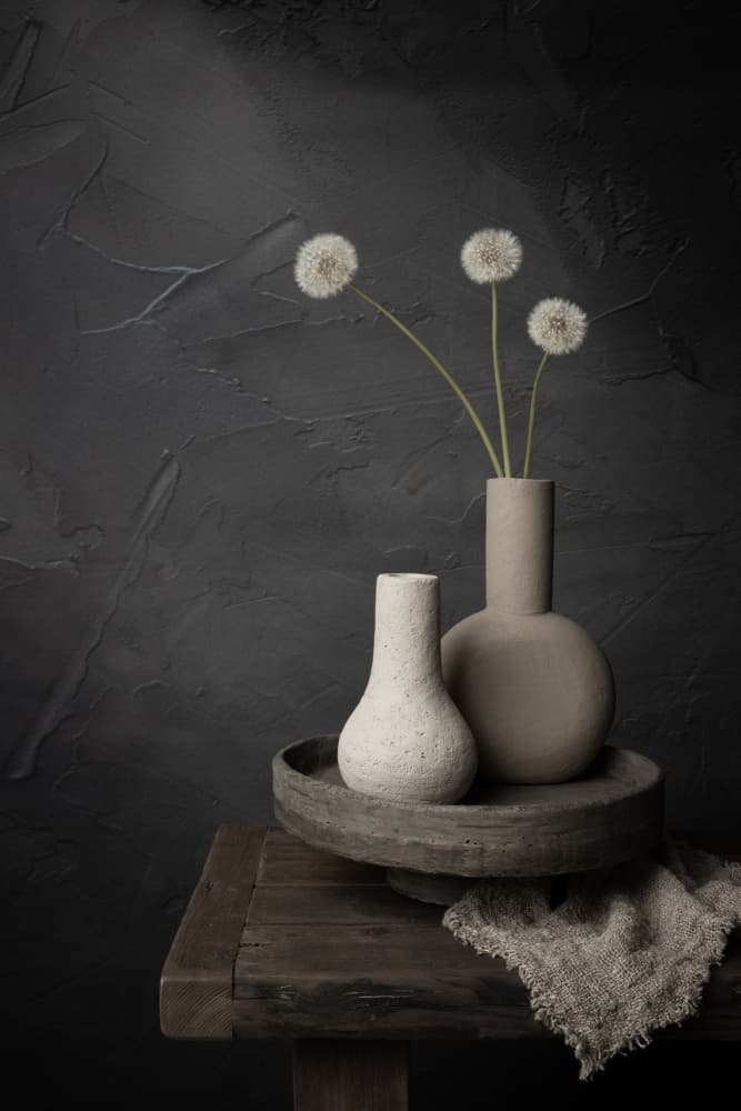 Earthy Dandelion Vases by Mayra Pama — canvas wall art