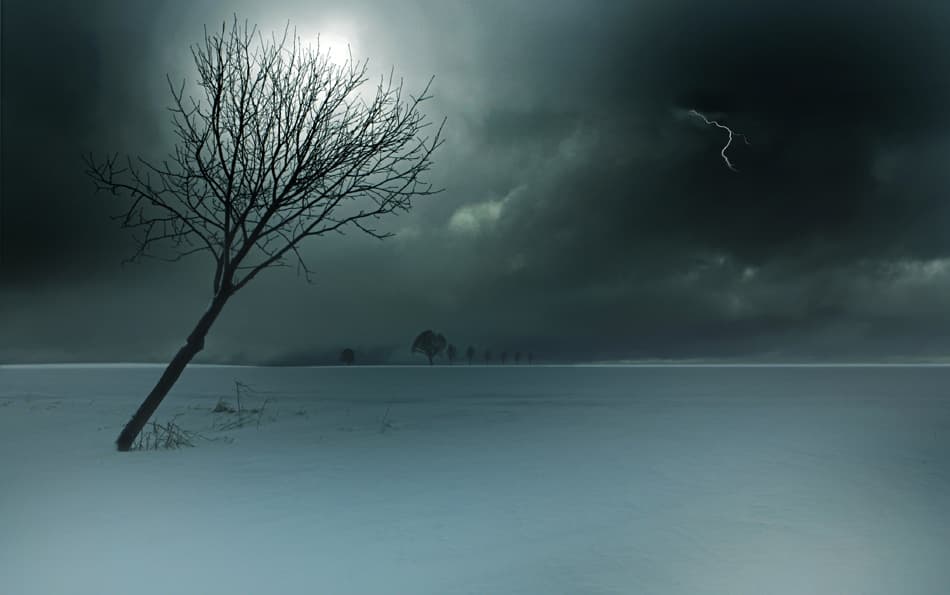 Winter Storm Tree Lightning by Nicolas Schumacher — canvas wall art