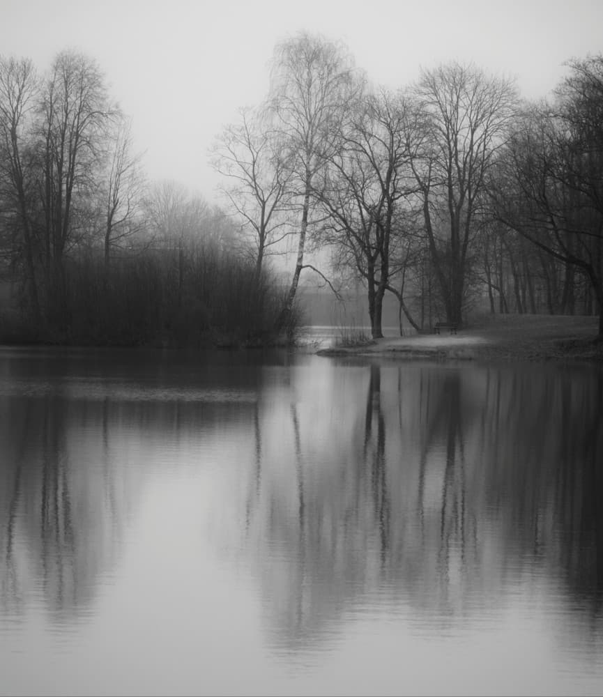 Misty Winter Reflections by Ingrida Urbonavičienė — canvas wall art