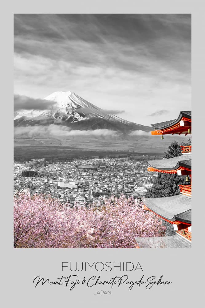 Mount Fuji Sakura Pagoda by Melanie Viola — canvas wall art