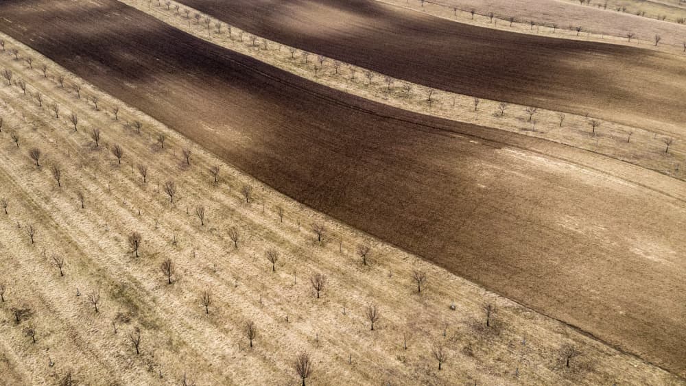 Waving Farm Fields by Joško Šimic — canvas wall art