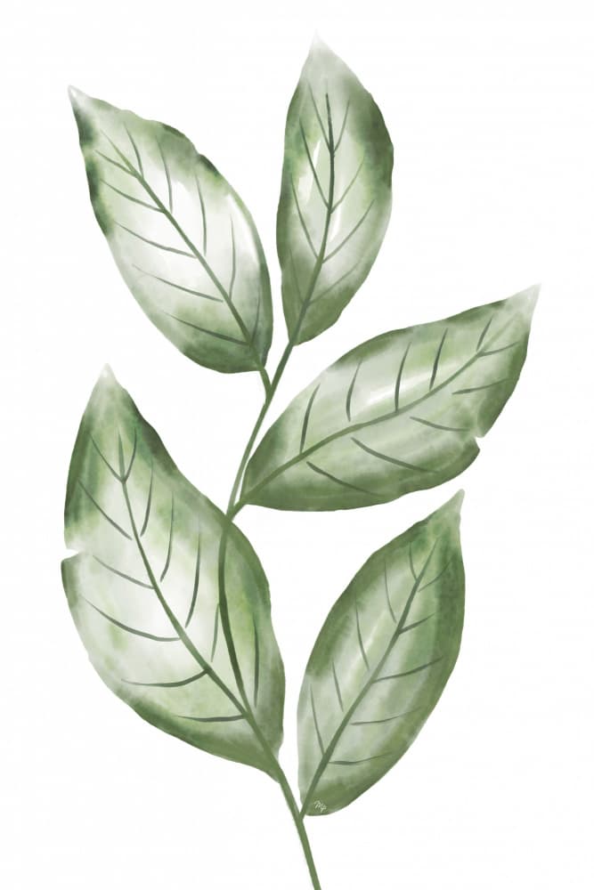 Watercolor Green Leaves by Martina — canvas wall art