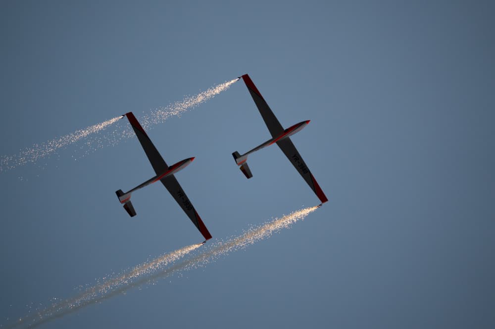 Sparkling Glider Display by Alexandra Isbasoiu — canvas wall art