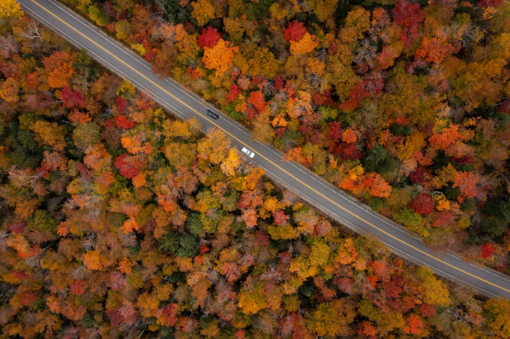 Colorful Autumn Drive by DonnaHom APA — canvas wall art