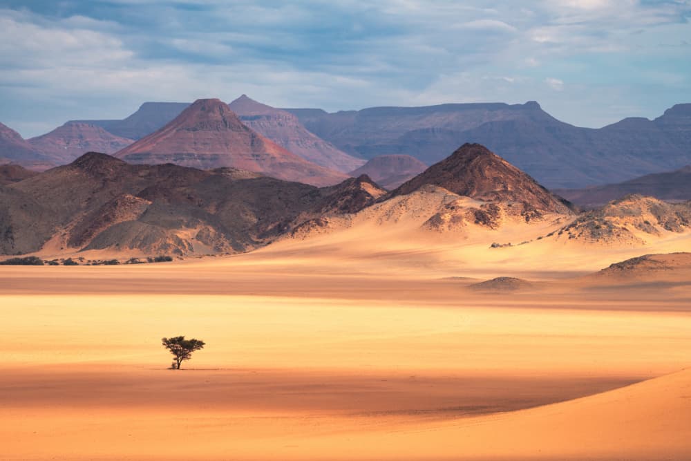 Solitary Desert Tree by Jean Claude Castor — canvas wall art