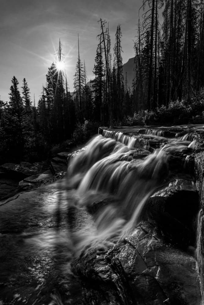 Sunlit Forest Waterfall by Johnny Zhang — canvas wall art