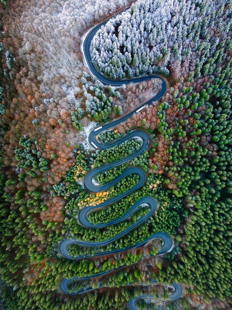 Winding Road Seasons by Dan Mirica — canvas wall art