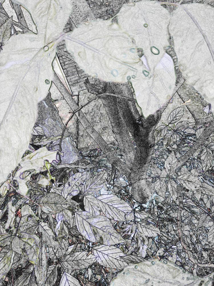 Monochrome Nature Sketch by Santhosh ch — canvas wall art