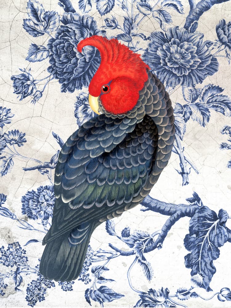 Red Cockatoo Chinoiserie by Marja van den Hurk — canvas wall art