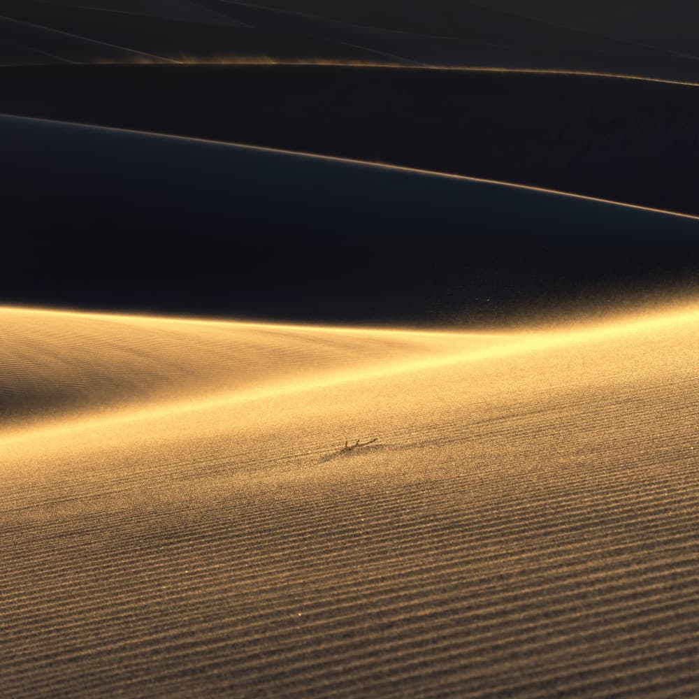 Golden Desert Curves by Aidong Ning — canvas wall art
