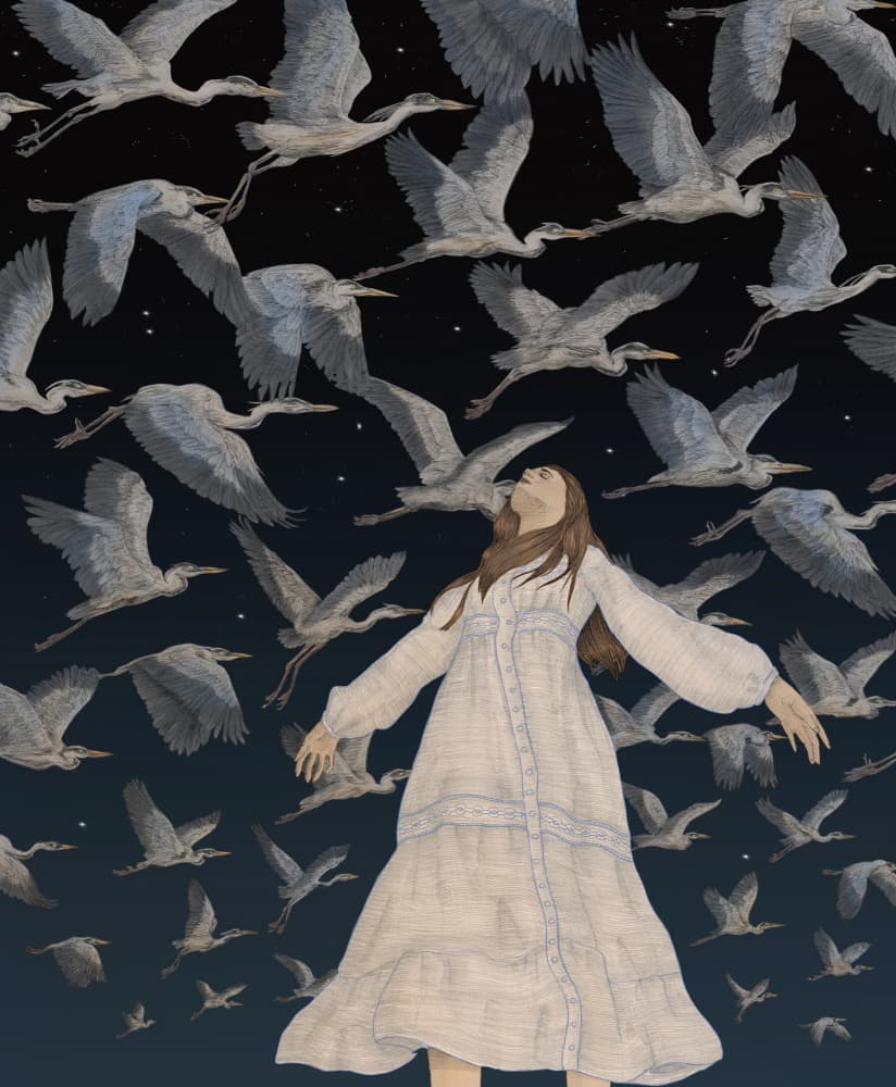 Woman Amidst Night Herons by EC Mazur — canvas wall art
