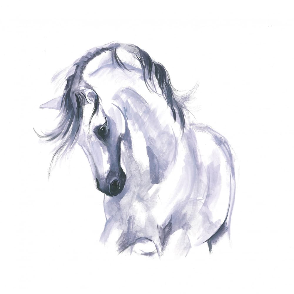 Horse in Movement Study by Isabelle Brent — canvas wall art