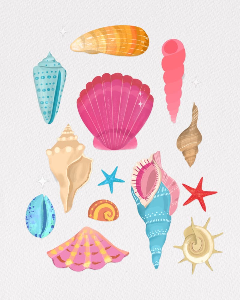 Seashells by Petra Lizde — canvas wall art