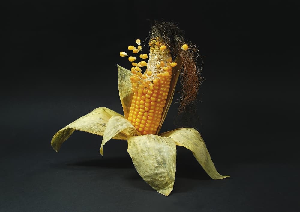Falling Corn Kernels by Leon — canvas wall art