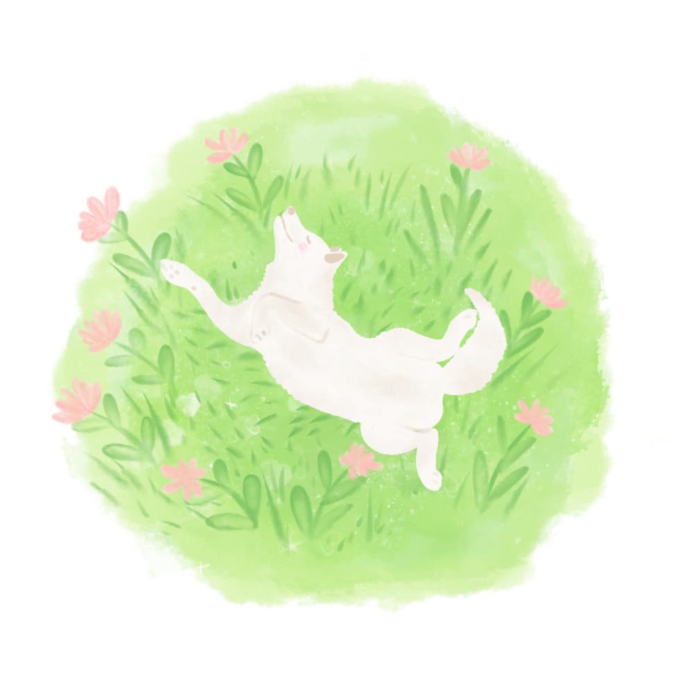 Joyful Meadow Dog by Aliya Putrus — canvas wall art