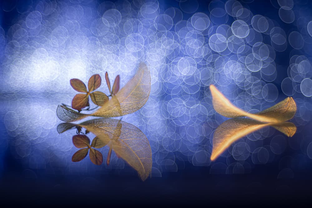 Delicate Blue Reflections by Igor Kopcev — canvas wall art