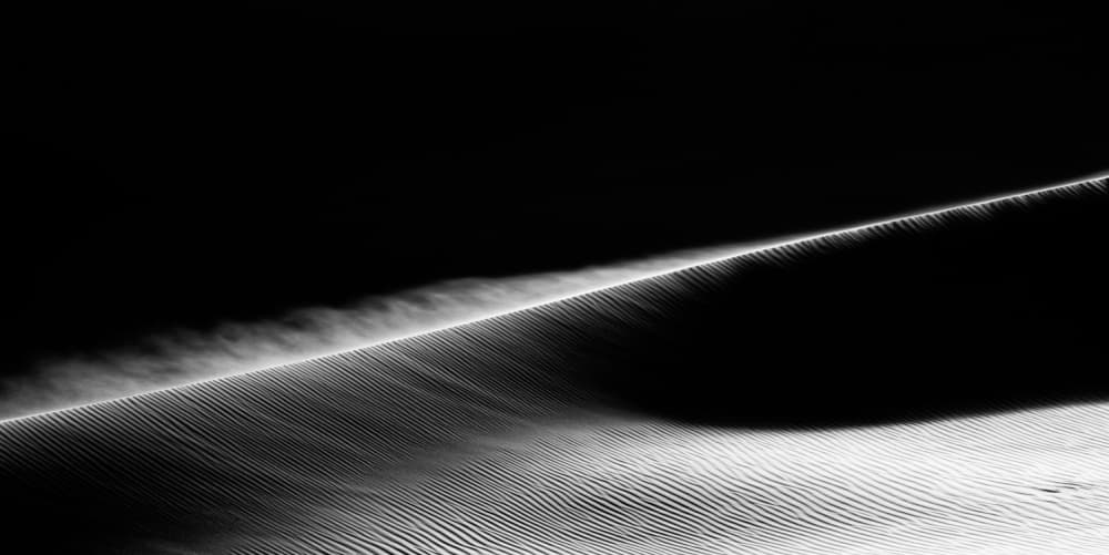 Flowing Desert Lines by Ahmed Waddah — canvas wall art