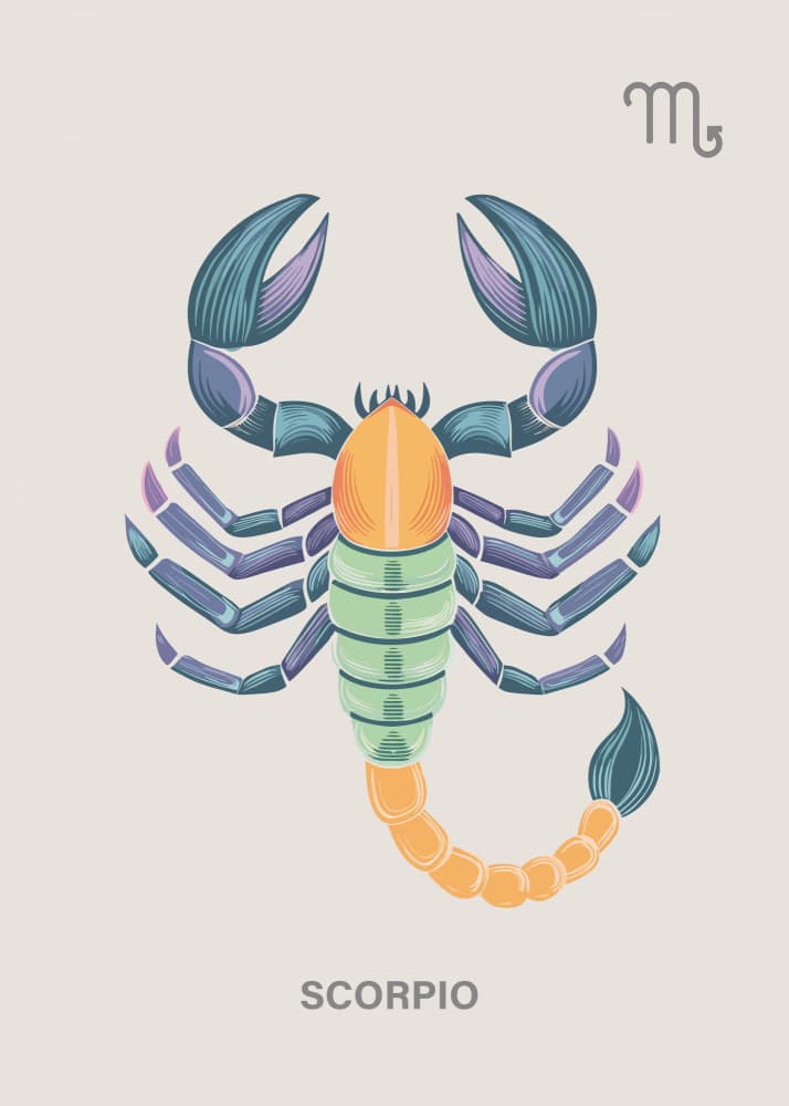 Mystical Scorpio Scorpion by Paperago — canvas wall art