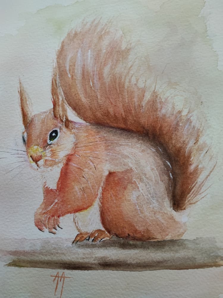 Cute Red Squirrel by Annette Armitage — canvas wall art