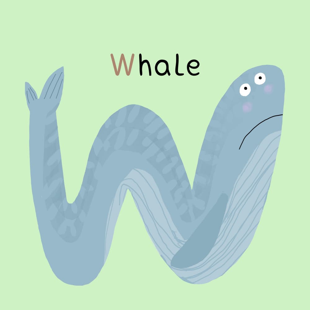 W Is For Whale