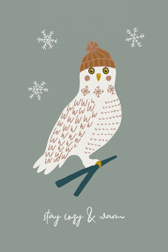 Cozy Winter Owl by Alexandra Weise — canvas wall art