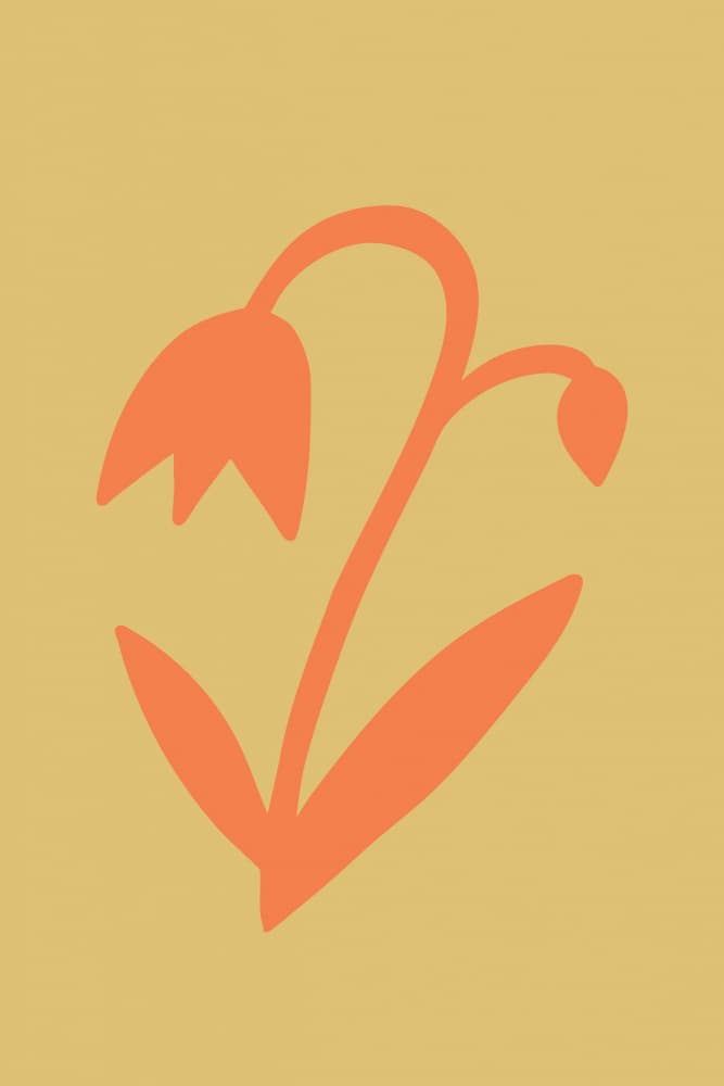 Delicate Orange Bloom