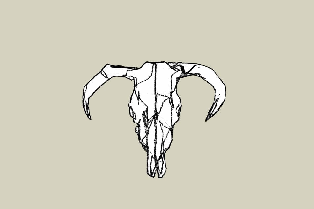 Rustic Bull Skull by cartissi — canvas wall art