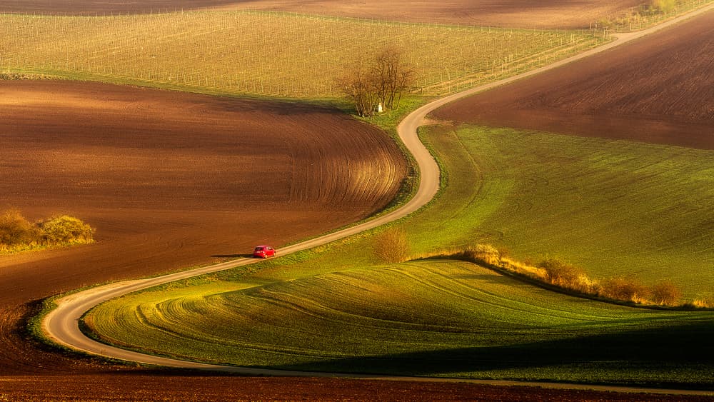 Winding Countryside Road by Izabela Laszewska-Mitrega / Darek Mitręga — canvas wall art