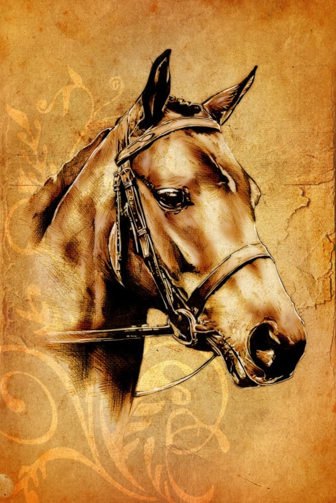 Vintage Horse Portrait by Rafal Kulik — canvas wall art