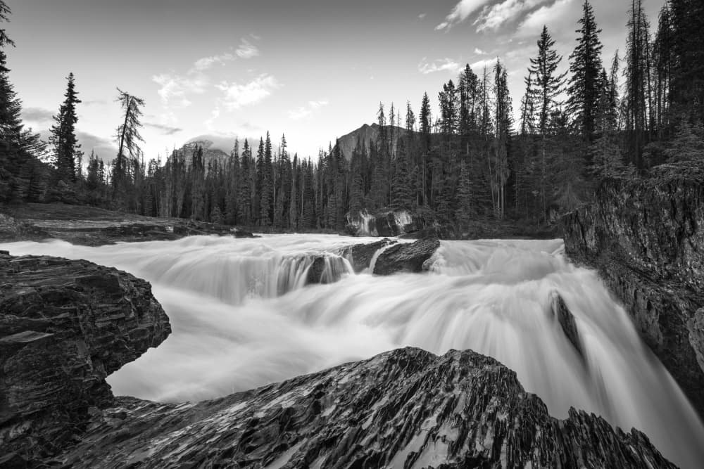 Tranquil Forest Rapids by Jason Ma — canvas wall art