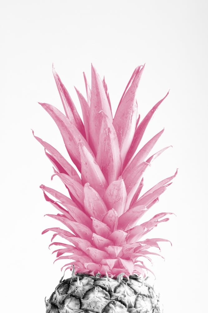 Tropical Pink Pineapple by Pictufy Studio III — canvas wall art