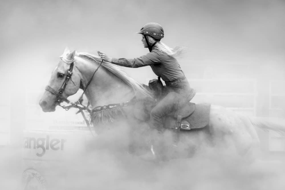 Galloping Through Dust by Frank Ma — canvas wall art
