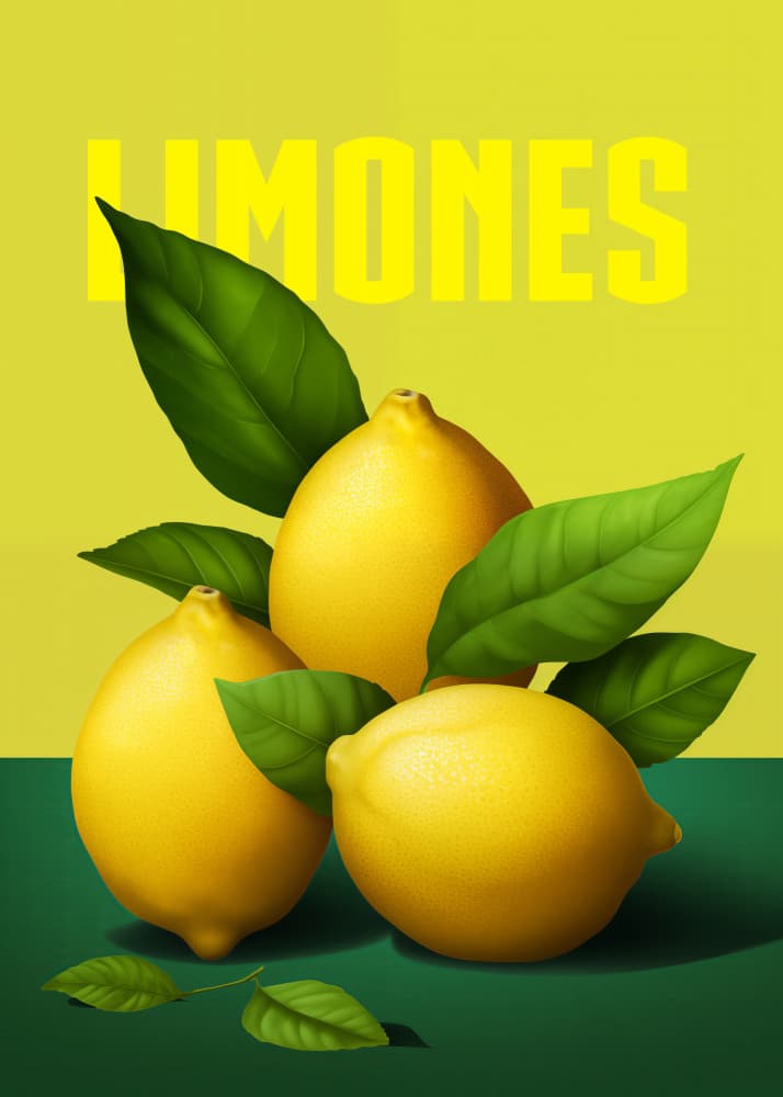 Bright Yellow Lemons by Andreas Magnusson — canvas wall art