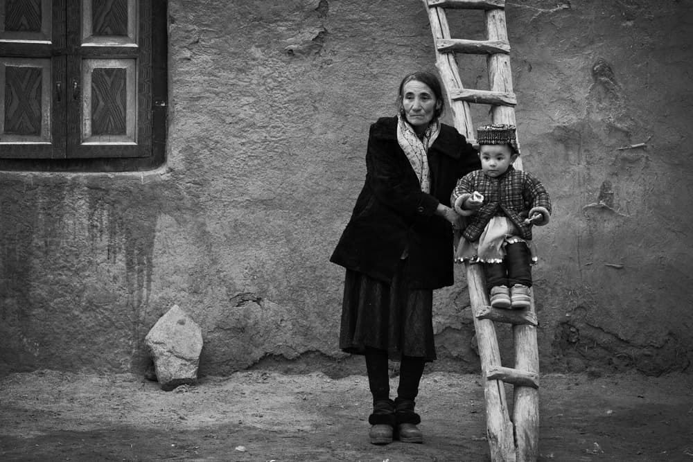 Generations on a Ladder by Shirley Shen — canvas wall art