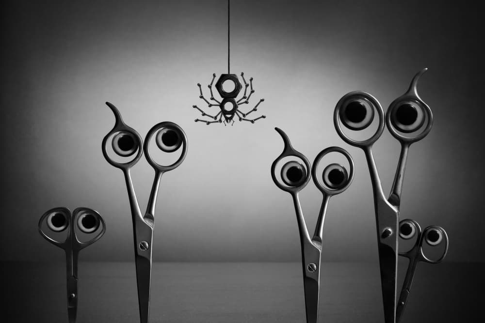 Scissors Eye The Spider by Victoria  Glinka — canvas wall art