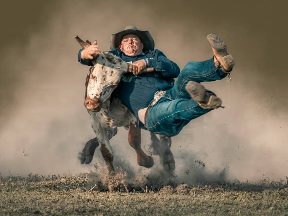 Wild Calf Ride by Frank Ma — canvas wall art