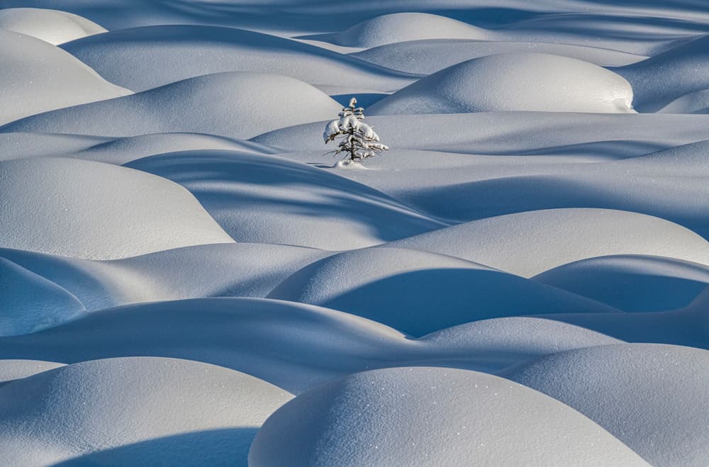 Peaceful Winter Snowscape by James S. Chia — canvas wall art