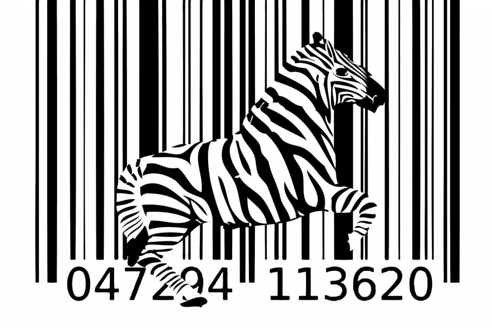 Zebra Barcode Design by Rafal Kulik — canvas wall art