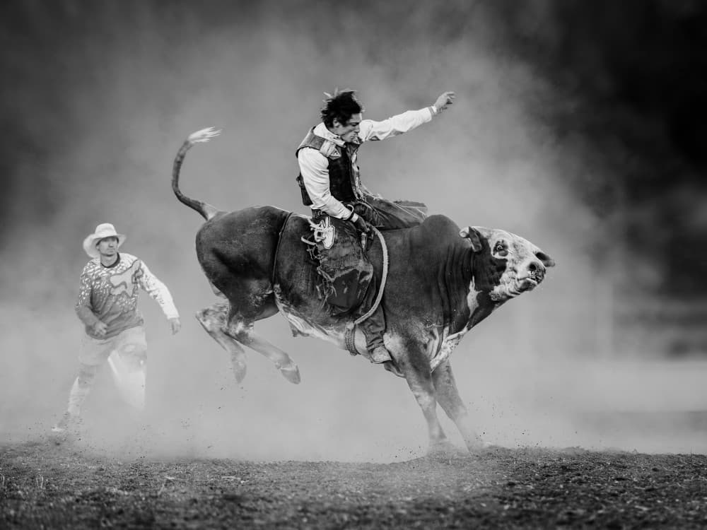 Dusty Rodeo Action by Frank Ma — canvas wall art