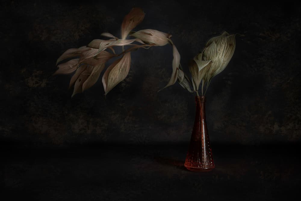 Dark Botanical Still Life by Cicek Kiral — canvas wall art